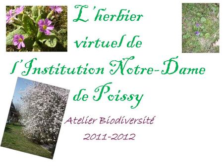 L’herbier virtuel de l’Institution Notre-Dame de Poissy