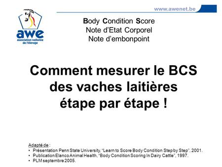 Comment mesurer le BCS des vaches laitières étape par étape !