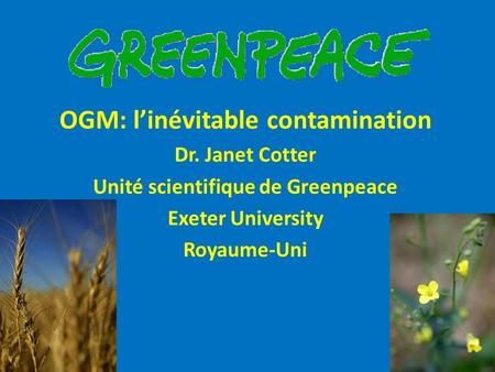 OGM: l’inévitable contamination Unité scientifique de Greenpeace