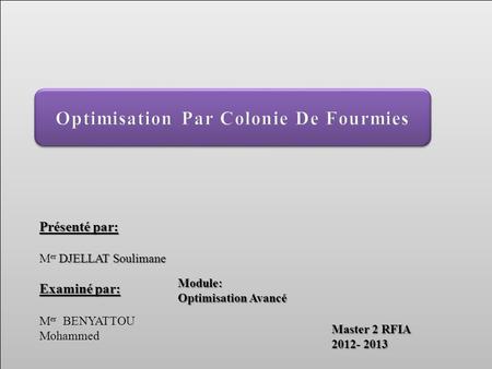 Optimisation Par Colonie De Fourmies