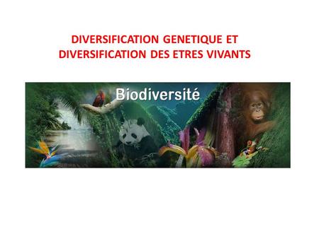 DIVERSIFICATION GENETIQUE ET DIVERSIFICATION DES ETRES VIVANTS