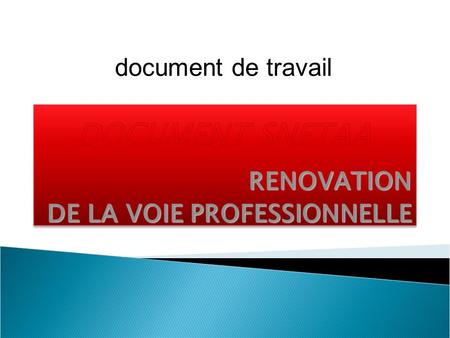 RENOVATION DE LA VOIE PROFESSIONNELLE document de travail.