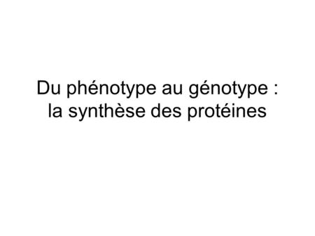 Du phénotype au génotype : la synthèse des protéines