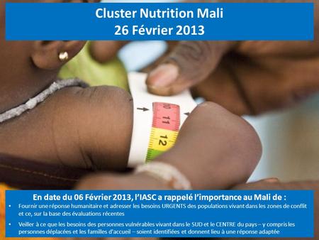 Cluster Nutrition Mali 26 Février 2013
