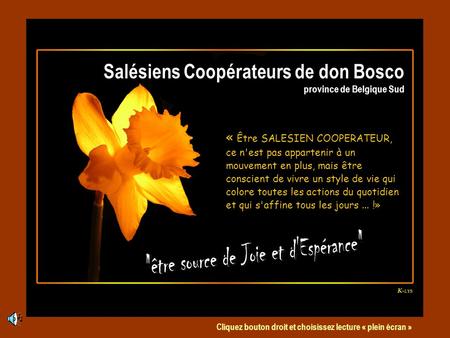 Salésiens Coopérateurs de don Bosco province de Belgique Sud « Être SALESIEN COOPERATEUR, ce n'est pas appartenir à un mouvement en plus, mais être conscient.