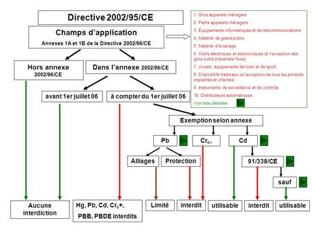 Directive 2002/95/CE Champs dapplication Annexes 1A et 1B de la Directive 2002/96/CE Hors annexe 2002/96/CE Dans lannexe 2002/96/CE Aucune interdiction.