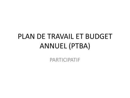 PLAN DE TRAVAIL ET BUDGET ANNUEL (PTBA)