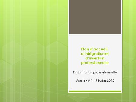 Plan d’accueil, d’intégration et d’insertion professionnelle