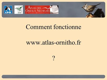 Comment fonctionne www.atlas-ornitho.fr ?. Cest un site de synthèse de lavancement du projet au niveau national. Ce nest pas une base de donnée intégrale.