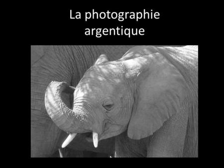 La photographie argentique.