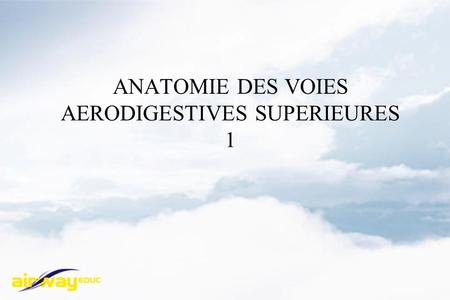 ANATOMIE DES VOIES AERODIGESTIVES SUPERIEURES 1