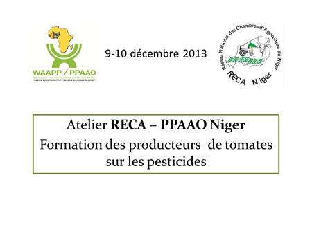Atelier RECA – PPAAO Niger