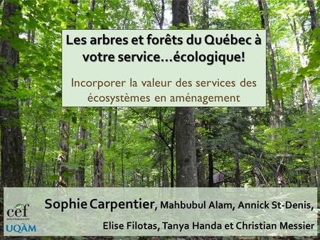 Les arbres et forêts du Québec à votre service…écologique!
