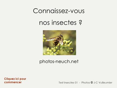 Connaissez-vous nos insectes ? photos-neuch.net