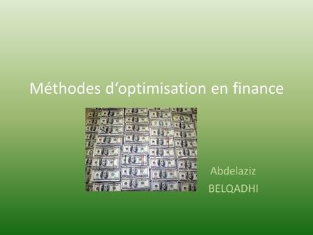 Méthodes d‘optimisation en finance