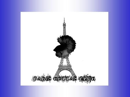 Le Paris Bettas Club est une association loi 1901 créée en octobre 2008 regroupant des éleveurs de bettas splendens et de formes sauvages, habitant en.
