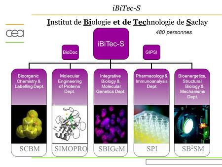Evaluation AERES March 16 th 2010 iBiTec-S Institut de Biologie et de Technologie de Saclay 480 personnes iBiTec-S Pharmacology & Immunoanalysis Dept.