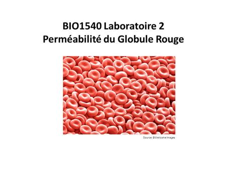 BIO1540 Laboratoire 2 Perméabilité du Globule Rouge