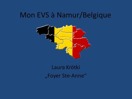 Mon EVS à Namur/Belgique