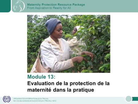 ORGANISATION INTERNATIONALE DU TRAVAIL Service des conditions de travail et demploi (TRAVAIL) 2012 Module 13: Evaluation de la protection de la maternité