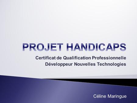 PROJET HANDICAPS Certificat de Qualification Professionnelle