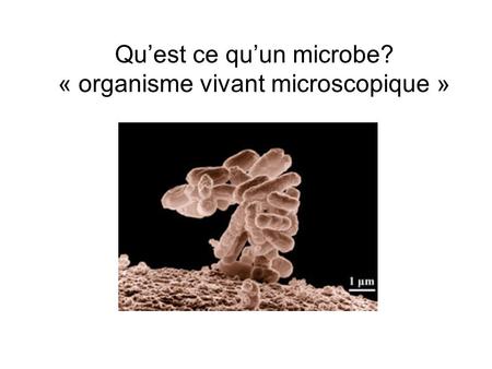 Qu’est ce qu’un microbe? « organisme vivant microscopique »