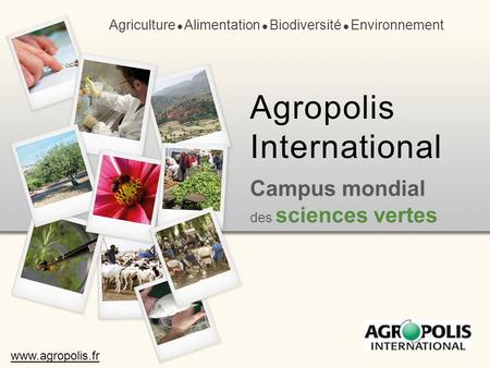 Agriculture  Alimentation  Biodiversité  Environnement