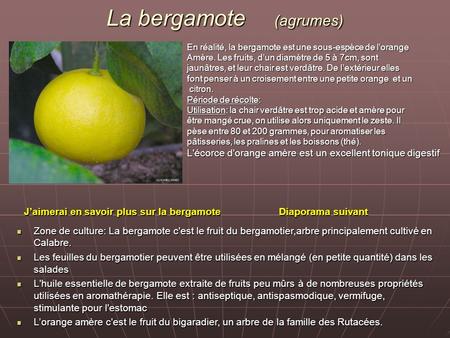 La bergamote (agrumes)