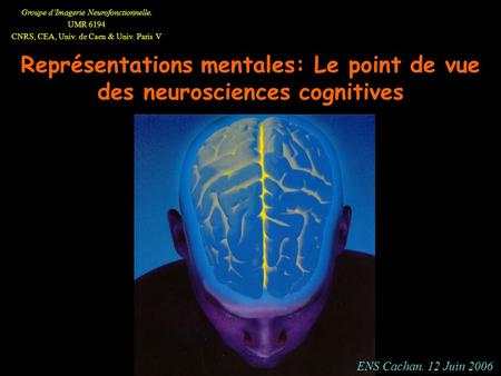 Représentations mentales: Le point de vue des neurosciences cognitives
