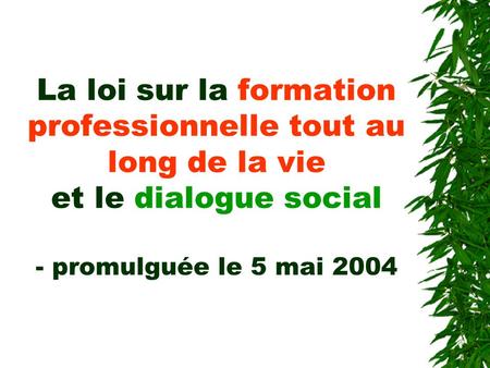 La loi sur la formation professionnelle tout au long de la vie et le dialogue social - promulguée le 5 mai 2004.