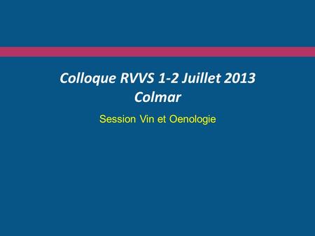 Colloque RVVS 1-2 Juillet 2013