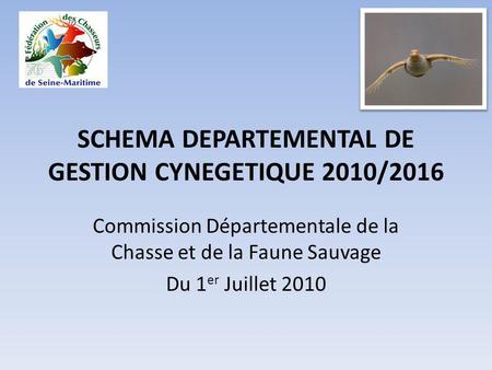 SCHEMA DEPARTEMENTAL DE GESTION CYNEGETIQUE 2010/2016