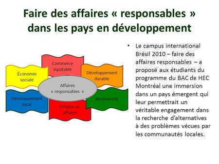 Faire des affaires « responsables » dans les pays en développement Le campus international Brésil 2010 – faire des affaires responsables – a proposé aux.