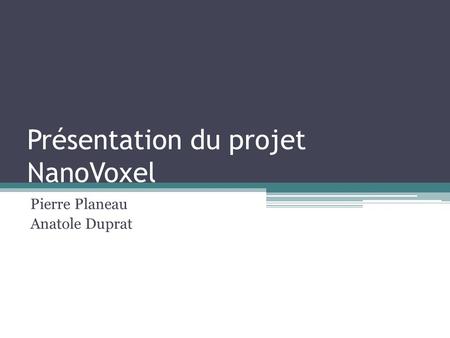 Présentation du projet NanoVoxel