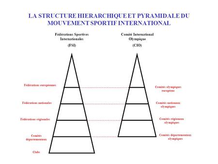 Fédérations Sportives Internationales (FSI)