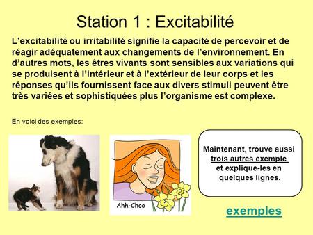 Station 1 : Excitabilité