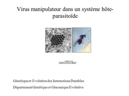 Virus manipulateur dans un système hôte-parasitoïde