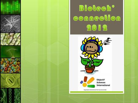 Biotech’ connection 2012.