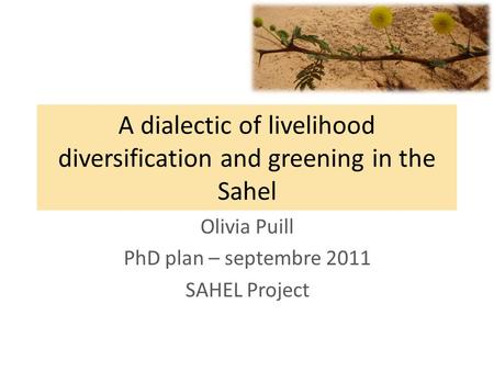 A dialectic of livelihood diversification and greening in the Sahel Olivia Puill PhD plan – septembre 2011 SAHEL Project.