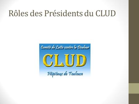 Rôles des Présidents du CLUD. Rôles des Présidents Fixent lordre du jour des séances Recueillent les informations relatives à la PCD Proposent les modalités.