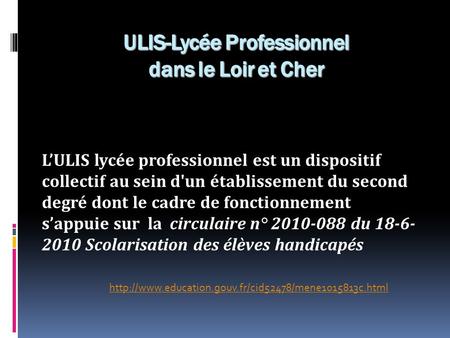 ULIS-Lycée Professionnel dans le Loir et Cher