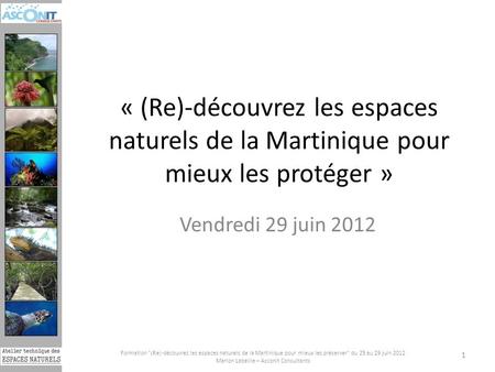 « (Re)-découvrez les espaces naturels de la Martinique pour mieux les protéger » Vendredi 29 juin 2012 Formation (Re)-découvrez les espaces naturels de.
