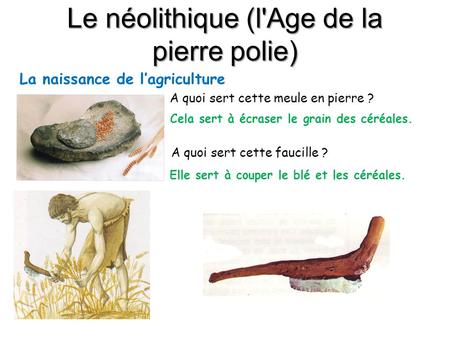 Le néolithique (l'Age de la pierre polie)