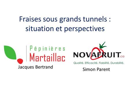 Fraises sous grands tunnels : situation et perspectives