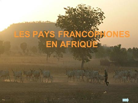 LES PAYS FRANCOPHONES EN AFRIQUE
