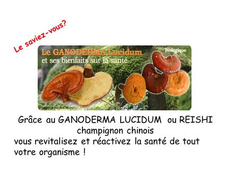 Grâce au GANODERMA LUCIDUM ou REISHI champignon chinois