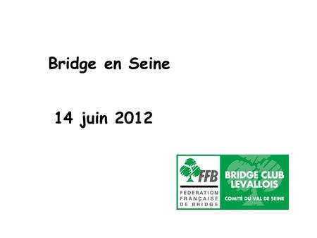 Bridge en Seine 14 juin 2012.