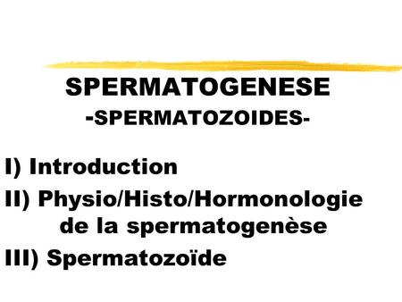 SPERMATOGENESE -SPERMATOZOIDES-