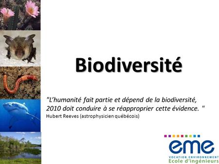 Biodiversité Lhumanité fait partie et dépend de la biodiversité, 2010 doit conduire à se réapproprier cette évidence.  Hubert Reeves (astrophysicien.