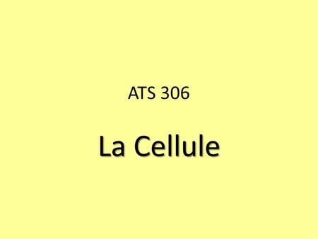 ATS 306 La Cellule.